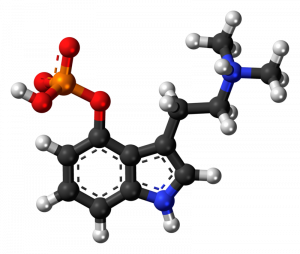 The chemical makeup of Psilocybin